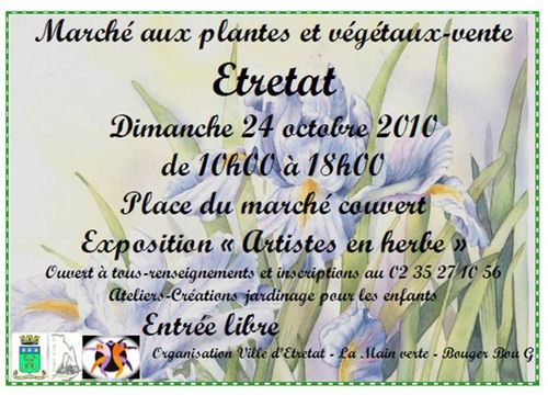 Marché plantes